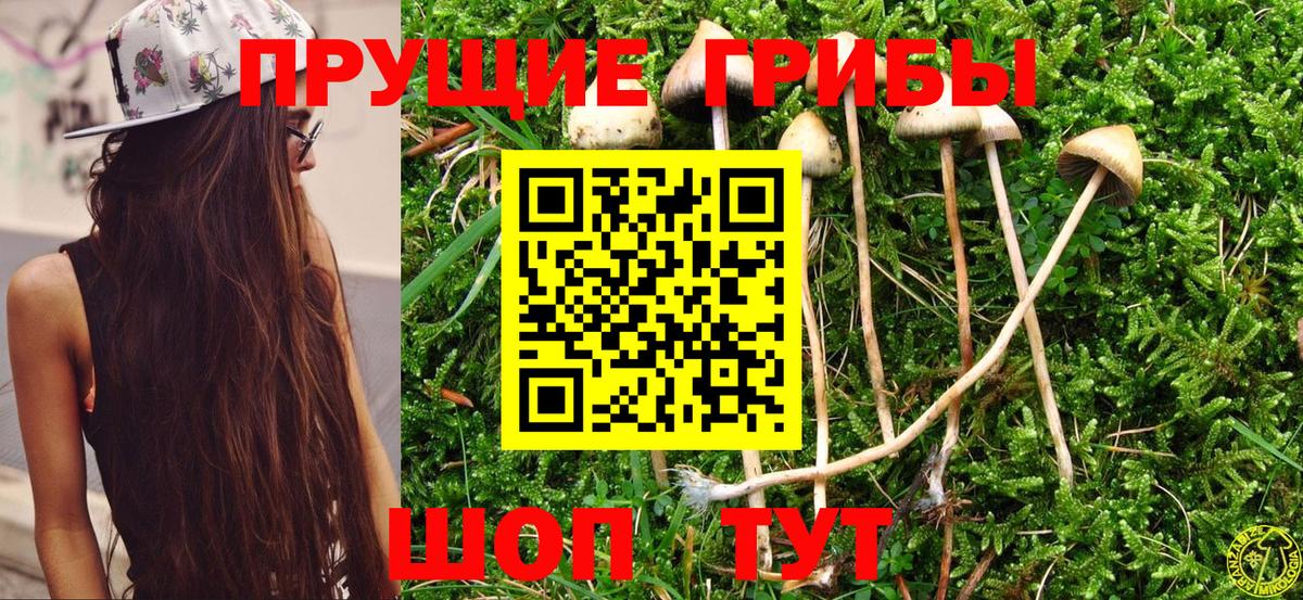 Псилоцибиновые грибы Cubensis  Вход с VPN  Волгодонск 