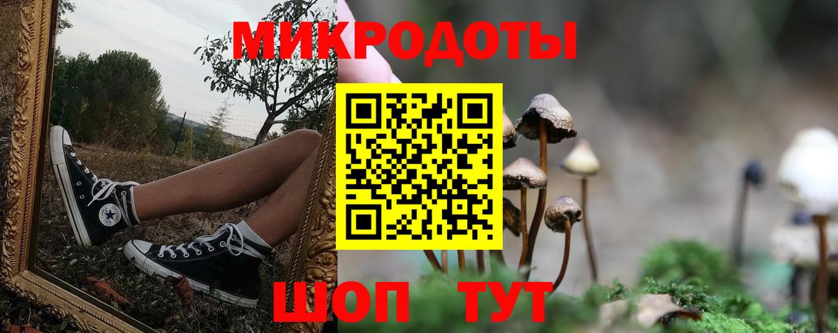 Галлюциногенные грибы MAGIC MUSHROOMS Волгодонск
